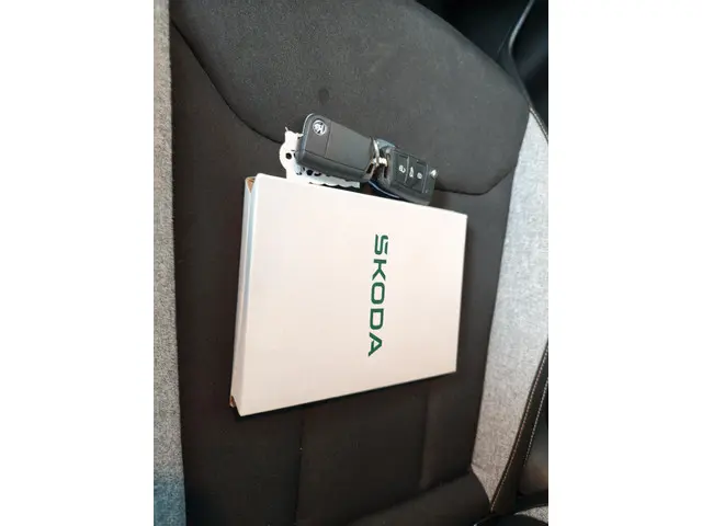 Škoda Kamiq 1.0 TSI Business Edition 2025 Benzine 14