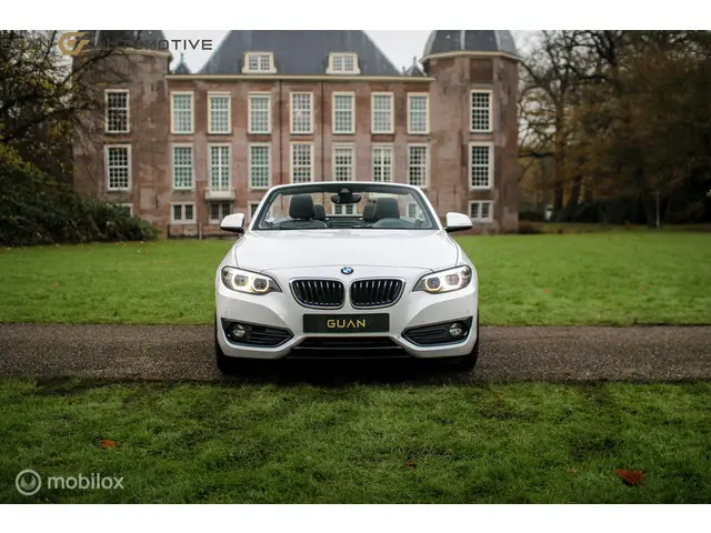 BMW 2 Serie Cabrio | 2018 Benzine 3