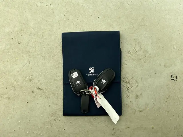 Peugeot e-208 EV Allure 50 kWh 2020 Elektrisch 25