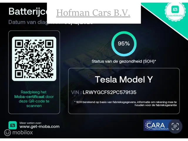Tesla Model Y RWD 58 kWh 2022 Elektrisch 2