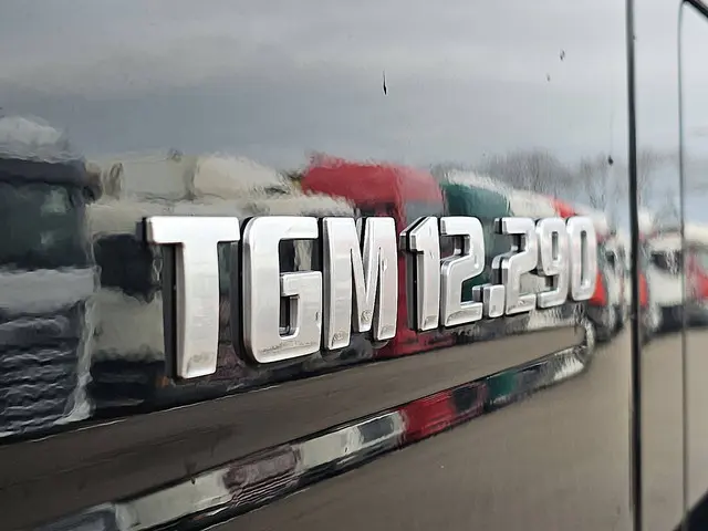MAN TGM 12.290 2018 Diesel 17
