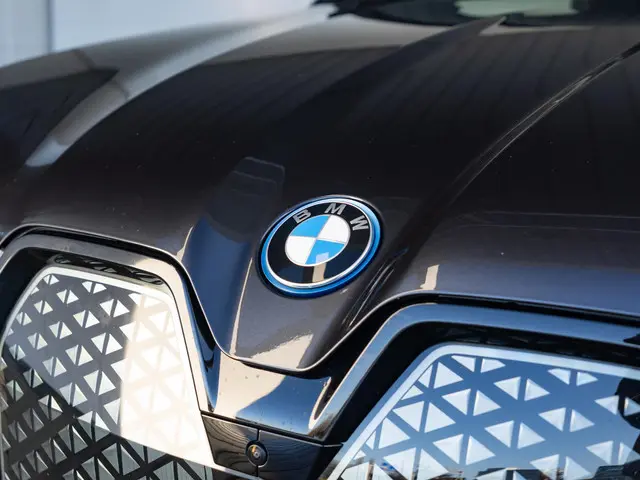 BMW iX xDrive40 2022 Elektrisch 15