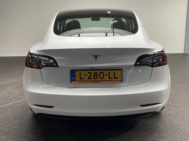 Tesla Model 3 Standard RWD Plus 60 kWh 2021 Elektrisch 15