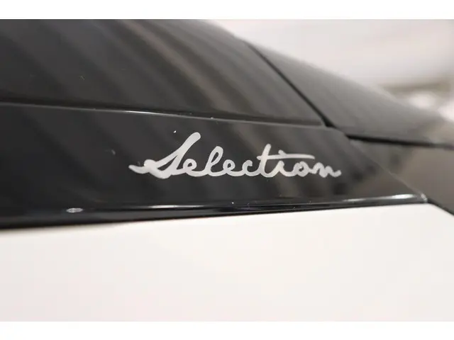 Toyota RAV4 2.5 Hybrid AWD Bi-Tone, 2020 Hybride Benzine 39