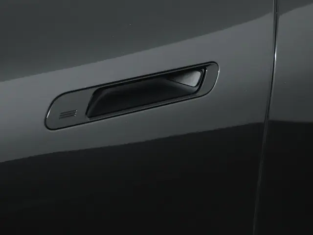 BMW iX xDrive40 2025 Elektrisch 30