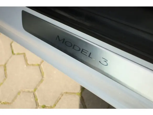 Tesla Model 3 Performance AWD 75 kWh 2019 Elektrisch 30