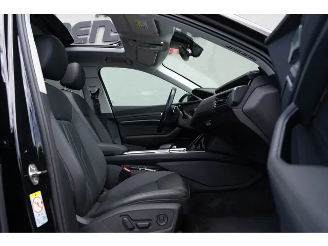 Audi e-tron 50 Quattro 2019 Elektrisch 6