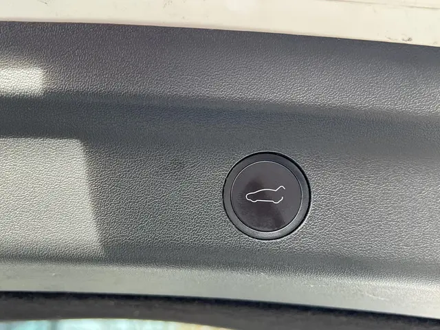 Tesla Model Y Long Range AWD 75 kWh 2022 Elektrisch 8