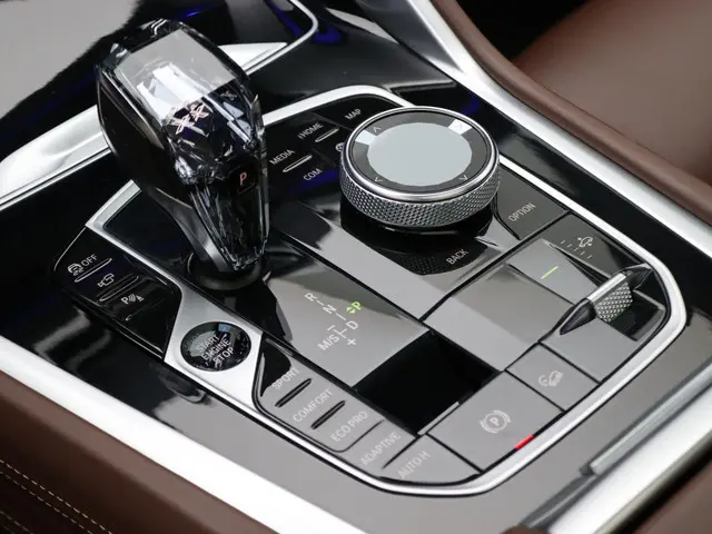 BMW X6 xDrive40i 2021 Benzine 30