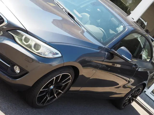 BMW 2 Serie Coupé 220i High Executive 2014 Benzine 11