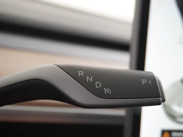 Tesla Model 3 Standard RWD Plus 60 kWh 2021 Elektrisch 27