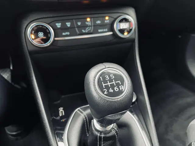 Ford Fiesta 1.0 EcoBoost Active 2019 Benzine 14