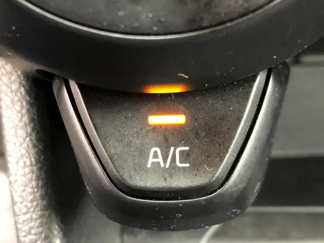 Kia Picanto 1.0 CVVT EconomyPlusLine 2019 Benzine 14