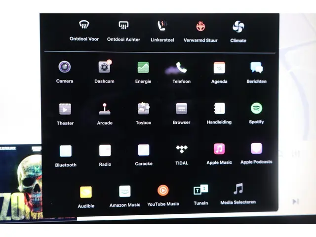 Tesla Model X 100D 6p. 2018 Elektrisch 47