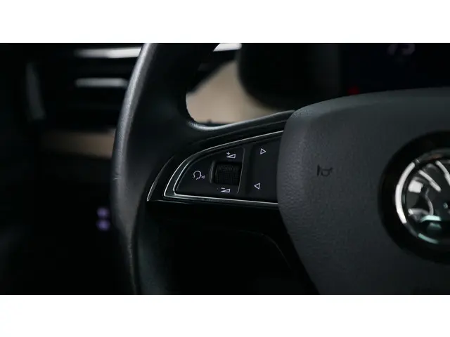 Škoda Scala 1.0 TSI 116pk Business Edition 2021 Benzine 18