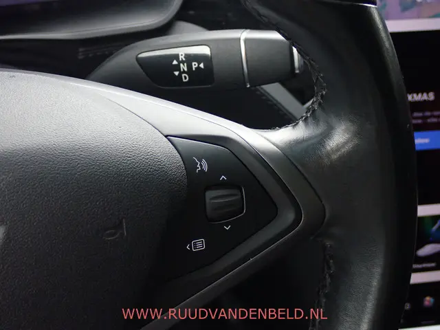 Tesla Model X 100D 2018 Elektrisch 30