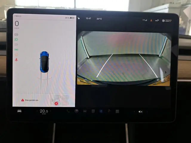 Tesla Model 3 Standard RWD Plus 60 kWh 2020 Elektrisch 9