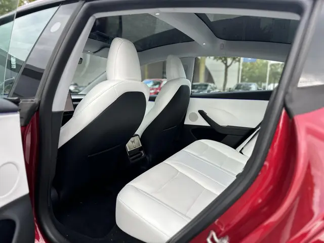 Tesla Model 3 Long Range AWD 78 kWh 2023 Elektrisch 12
