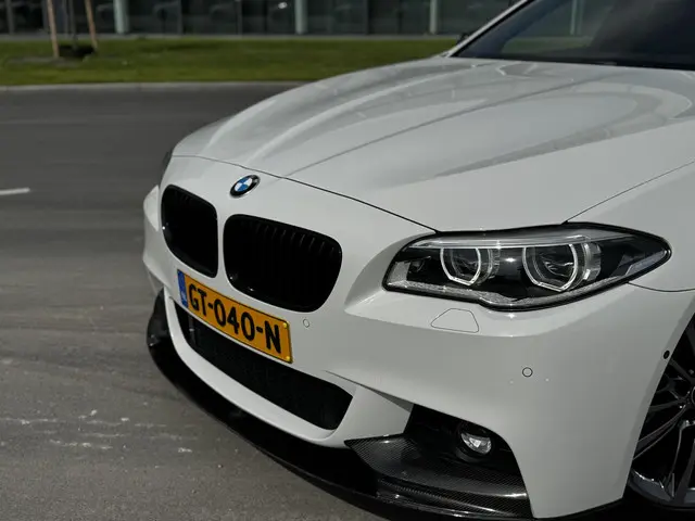 BMW 5 Serie Touring 520i High Executive 2015 Benzine 9