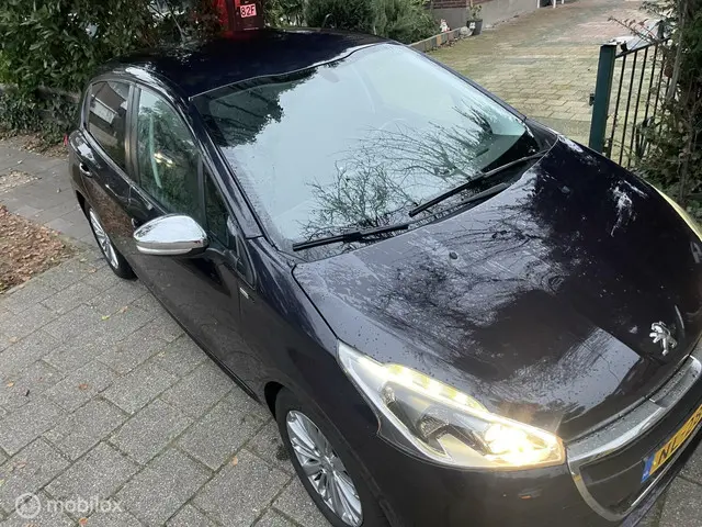 Peugeot 208 1.2 PureTech Blue Lease Premium 2016 Benzine 20