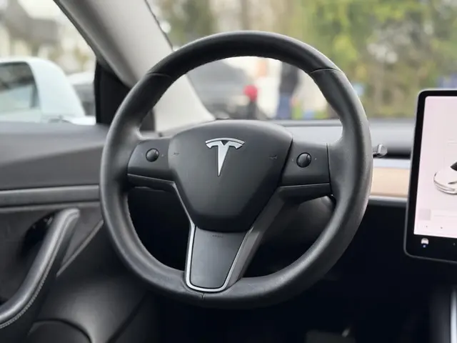 Tesla Model 3 Range Plus 2020 Elektrisch 18