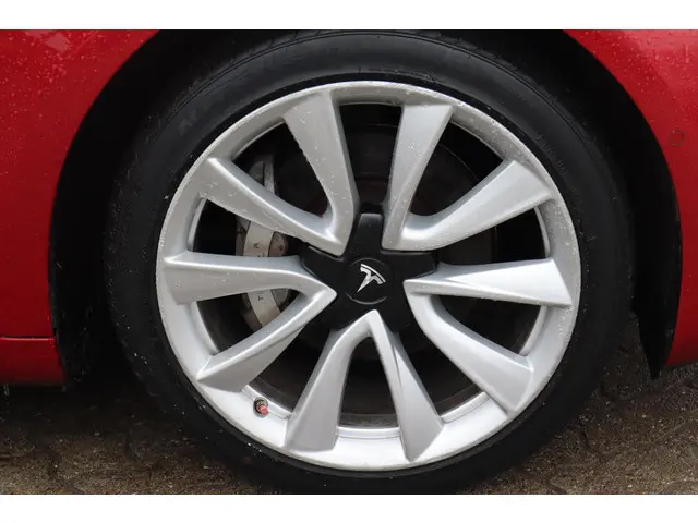 Tesla Model 3 Long Range AWD 75 kWh 2019 Elektrisch 14