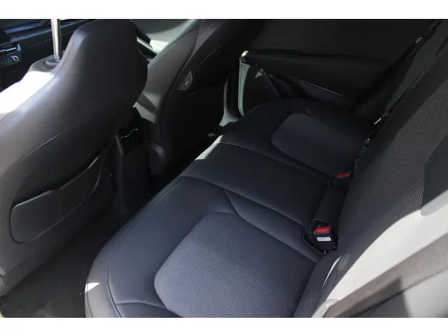 Kia Niro EV DynamicLine 64.8 kWh 2023 Elektrisch 15