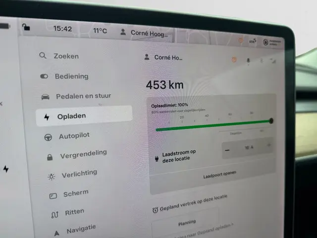 Tesla Model 3 Long Range AWD 75 kWh 2019 Elektrisch 11