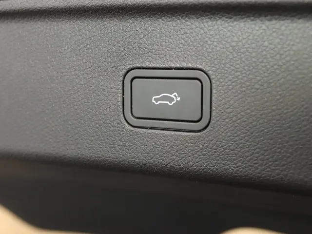 Smart #3 Pro 49 kWh 2024 Elektrisch 17