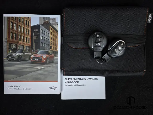 MINI Cooper Mini 1.5 Chili 2019 Benzine 51