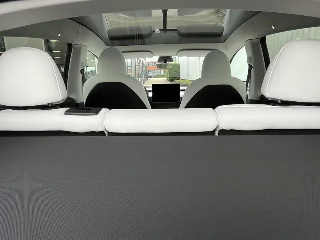 Tesla Model Y Long Range AWD 75 kWh 2023 Elektrisch 30