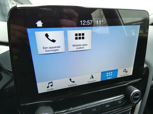 Ford Fiesta HELAAS VERKOCHT!!! 2017 Benzine 39