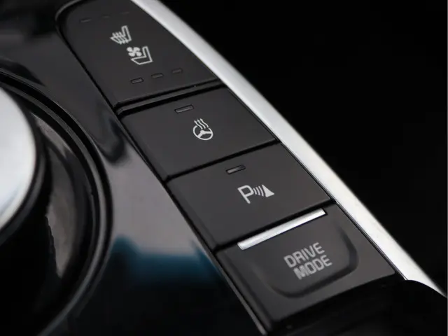 Kia e-Niro ExecutiveLine 64 kWh 2019 Elektrisch 56