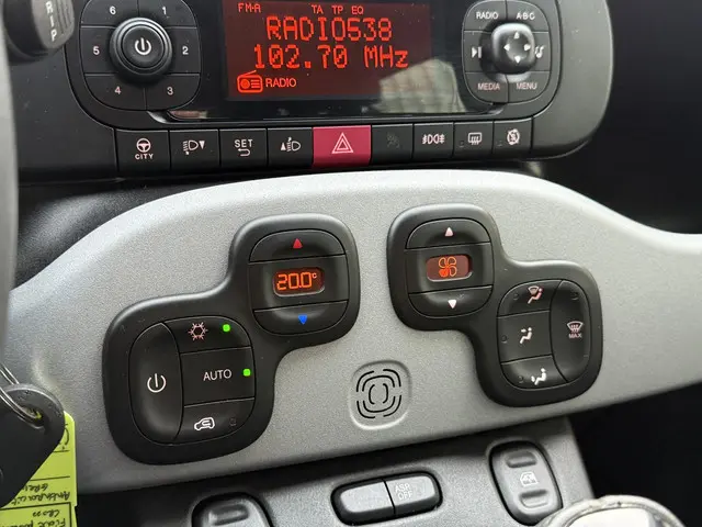 Fiat Panda 1.2 City Cross 2019 Benzine 20