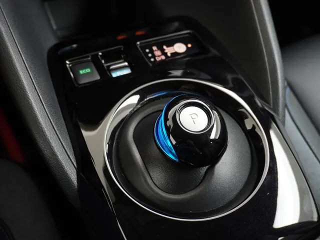Nissan Leaf e+ Tekna 62 kWh 2022 Elektrisch 35