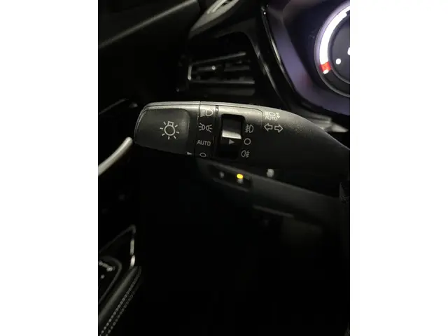 Kia e-Niro ExecutiveLine 64 kWh 2020 Elektrisch