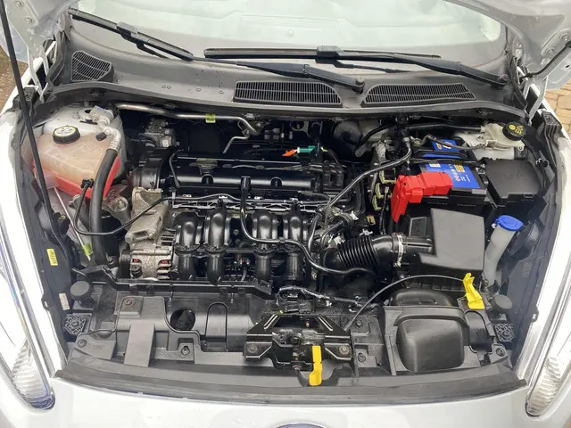 Ford Fiesta 1.25 2016 Benzine 19