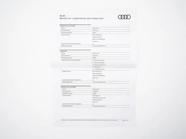 Audi RS6 Avant TFSI Quattro ! FULL-OPTIONS ! 2020 Benzine 49