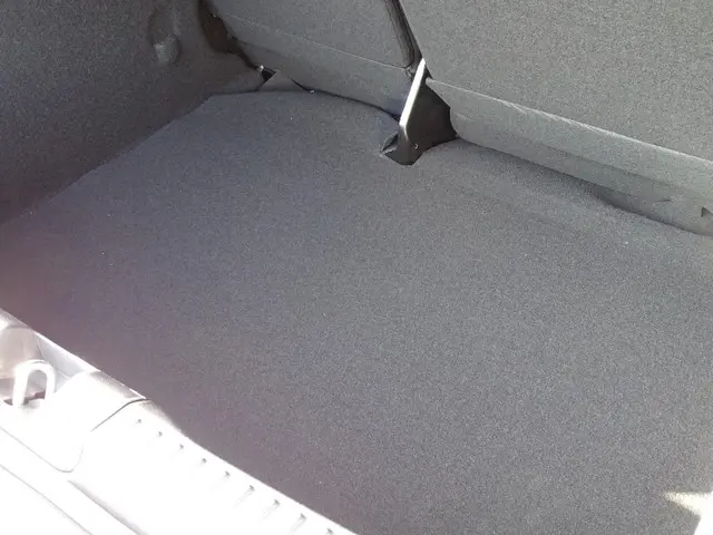 Dacia Sandero Stepway 1.0 TCe 110 Extreme 2025 Benzine 30