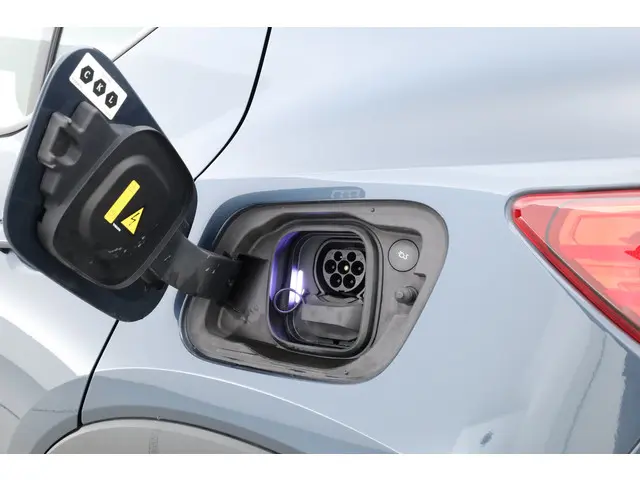 Volvo XC40 Recharge Plus 2022 Elektrisch 35