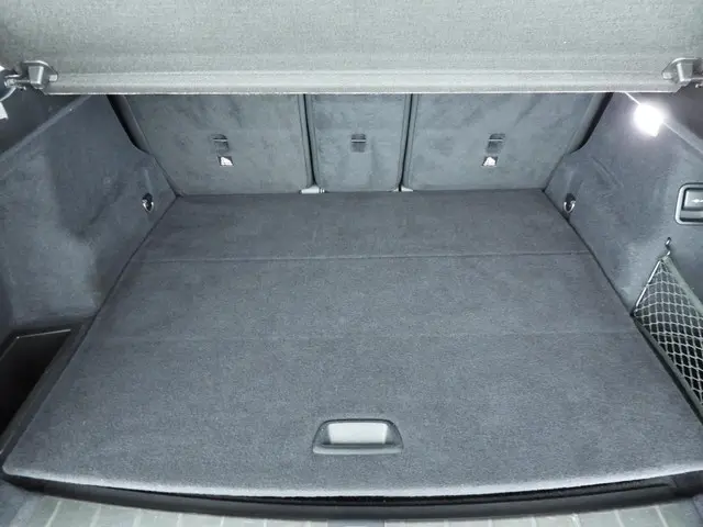 BMW X1 sDrive20i Executive 2017 Benzine 9