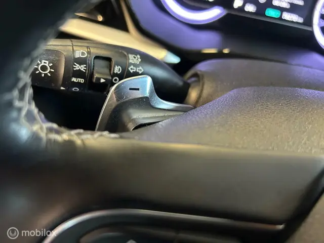 Kia Niro 1.6 GDi Hybrid DynamicLine 2020 Hybride Benzine 20