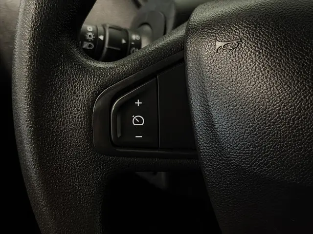 Renault Kangoo 1.5 Blue dCi 95 Work Edition 2020 Diesel 19