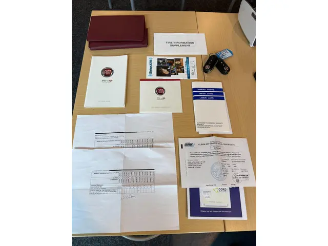 Fiat 500e 24kwh 2014 Elektrisch 17