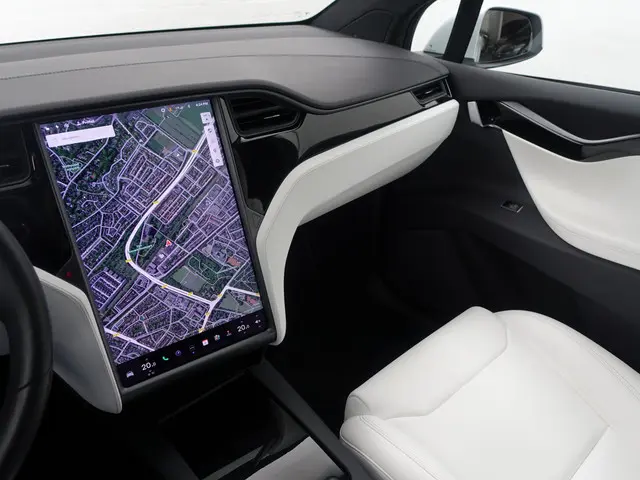 Tesla Model X Long Range Black Pack- 2019 Elektrisch 8