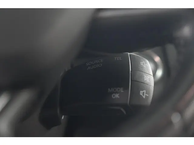 Renault Kadjar TCe 140 Intens 2019 Benzine 40