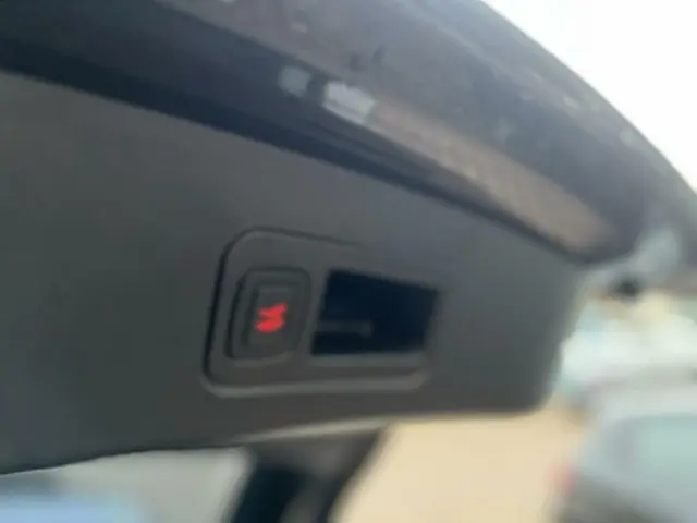 Tesla Model S 75D Auto pilot 2018 Elektrisch 20