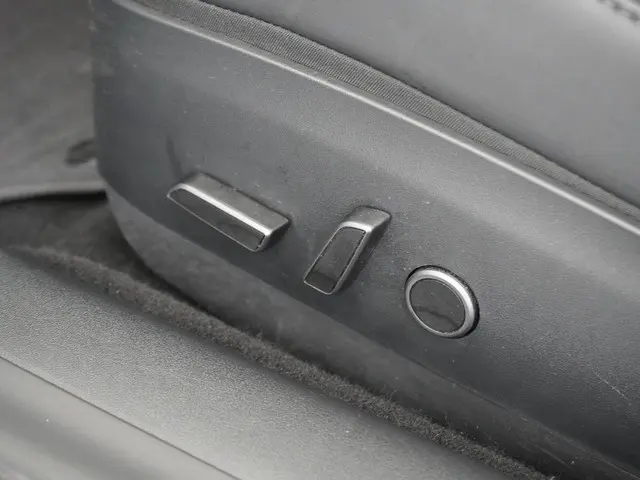 Tesla Model 3 Standard RWD Plus 60 kWh 2021 Elektrisch 19