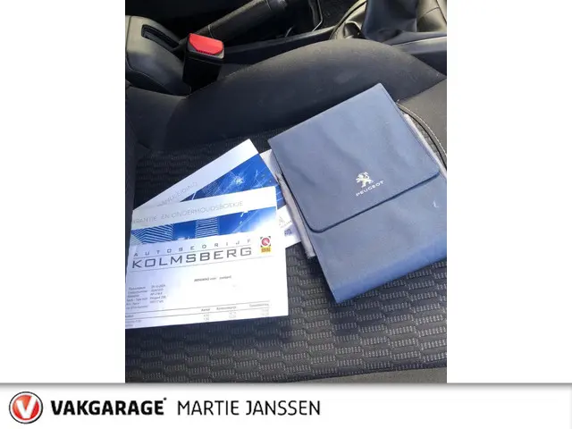 Peugeot 208 1.2 PureTech Blue Lion 2017 Benzine 29