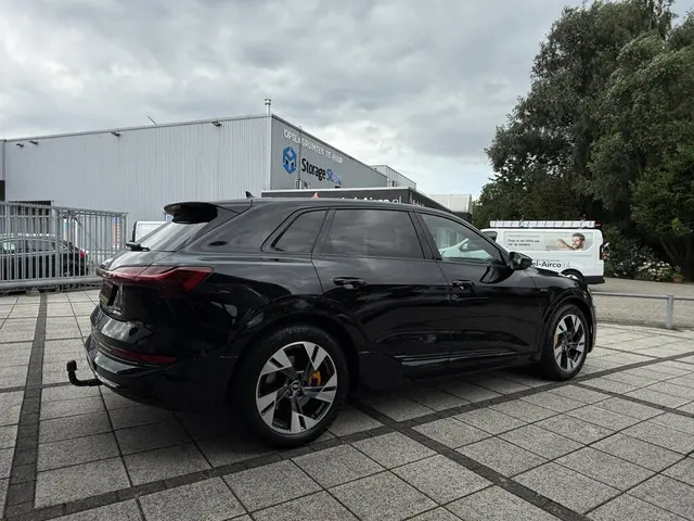 Audi e-tron 50 Aut. Quattro Edition 2020 Elektrisch 6